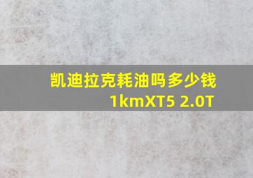 凯迪拉克耗油吗多少钱1kmXT5 2.0T